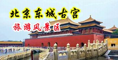 大屌强奸内射小女人中国北京-东城古宫旅游风景区